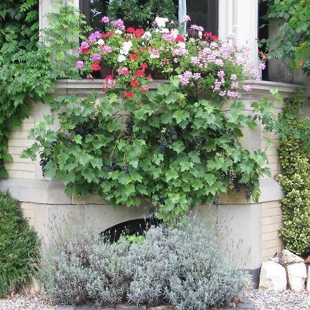 Alte Villa Ling Viersen Bagian luar foto